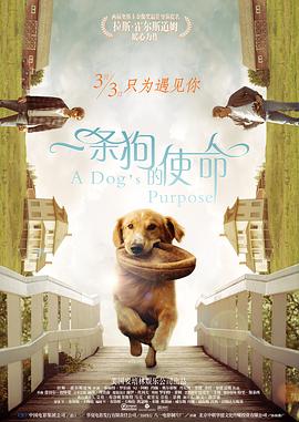 欧美成人精品欧美一级乱黄