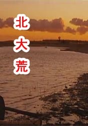 天天操综合视频