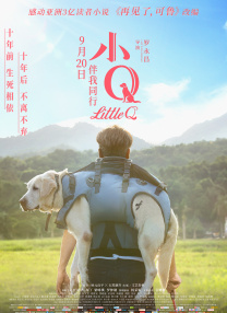 久久久这里有精品